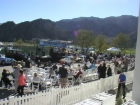 Concours d'Elegance, La Quinta (P2270145)