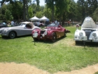 San Marino Motor Classic, June 10, 2012; photo by Mhila Curtright (20120610 1048)