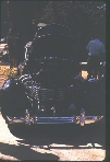 ACD 1965 Cambria Pines, CA (Roll 1 Frame 16)