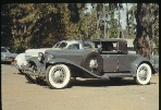 ; ACD 1968 Cambria Pines, CA (Roll 1 Frame 14)