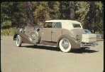 ; ACD 1968 Cambria Pines, CA (Roll 1 Frame 15)